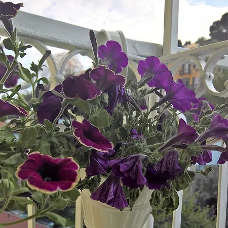 Apartamento A Casa Di Marirò La Spezia